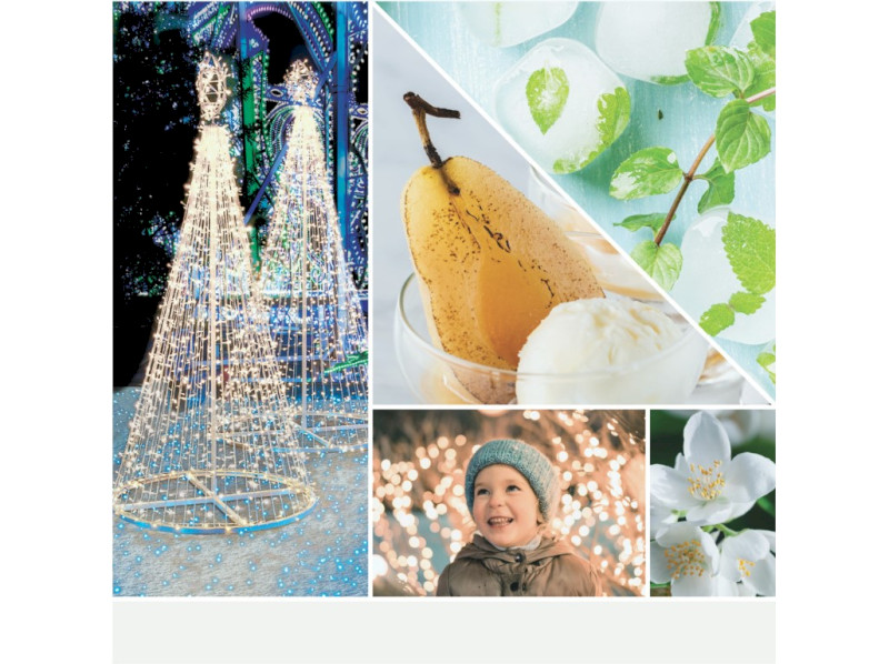 41204_MAGICAL BRIGHT LIGHTS